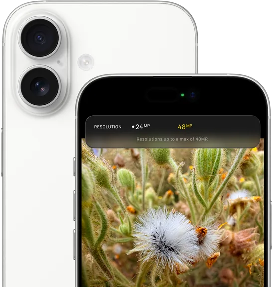 камеры iPhone 17